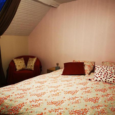 Domaine De L'Esperance, Chambre Rose Bed & Breakfast Bersaillin Dış mekan fotoğraf