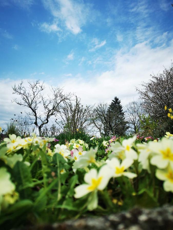 Domaine De L'Esperance, Chambre Rose Bed & Breakfast Bersaillin Dış mekan fotoğraf