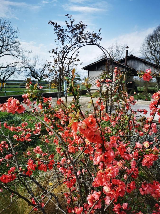 Domaine De L'Esperance, Chambre Rose Bed & Breakfast Bersaillin Dış mekan fotoğraf