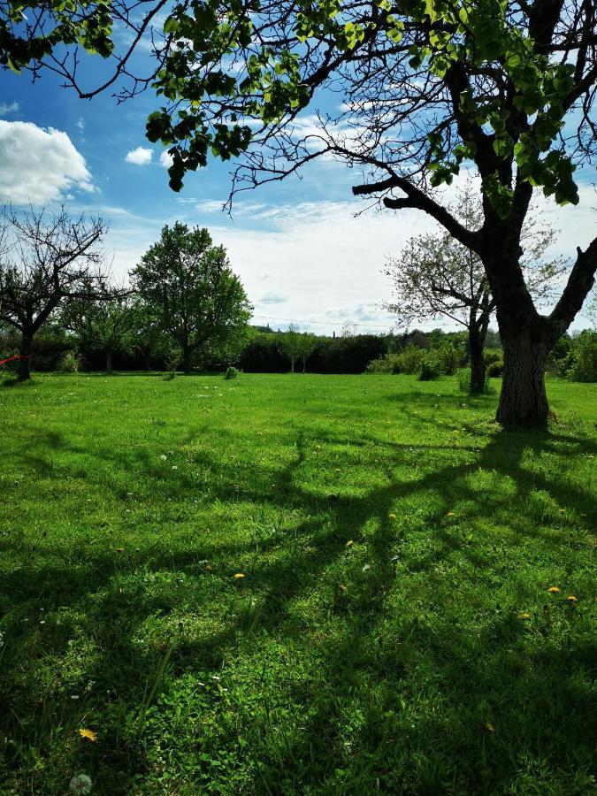 Domaine De L'Esperance, Chambre Rose Bed & Breakfast Bersaillin Dış mekan fotoğraf